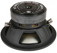 DLS Reference RCW12 subwoofer