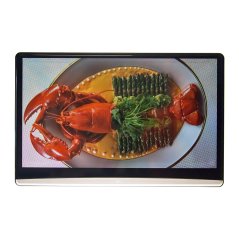 LCD monitor 13,3" OS Android/USB/SD/HDMI in/out s držiakom na opierku