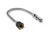ROADSHOWER FLEXHEAD SHOWER MD