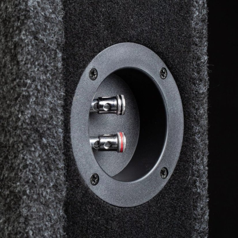 6,5" subwoofer v boxe do auta Gladen RS-X 065-VB-CU